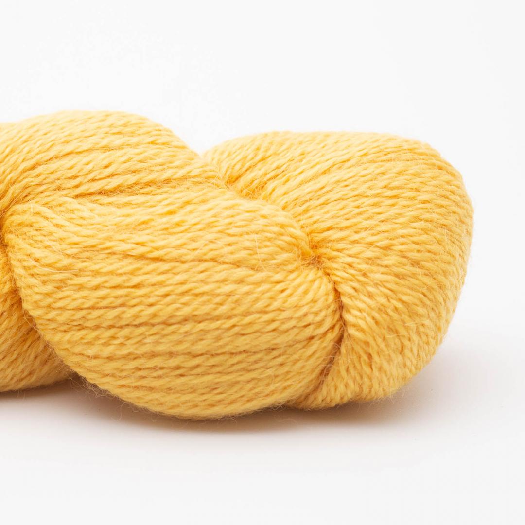 Babyalpaca — Yellow (02)