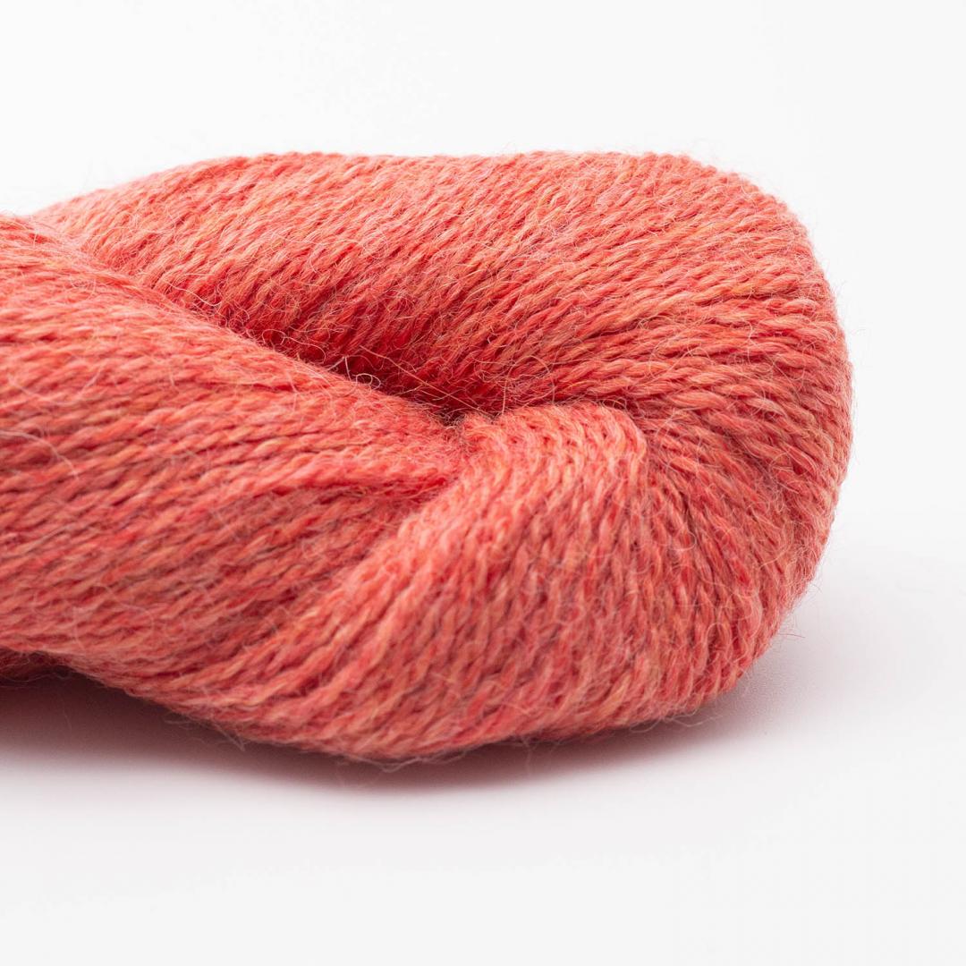 Babyalpaca — Salmon (111)
