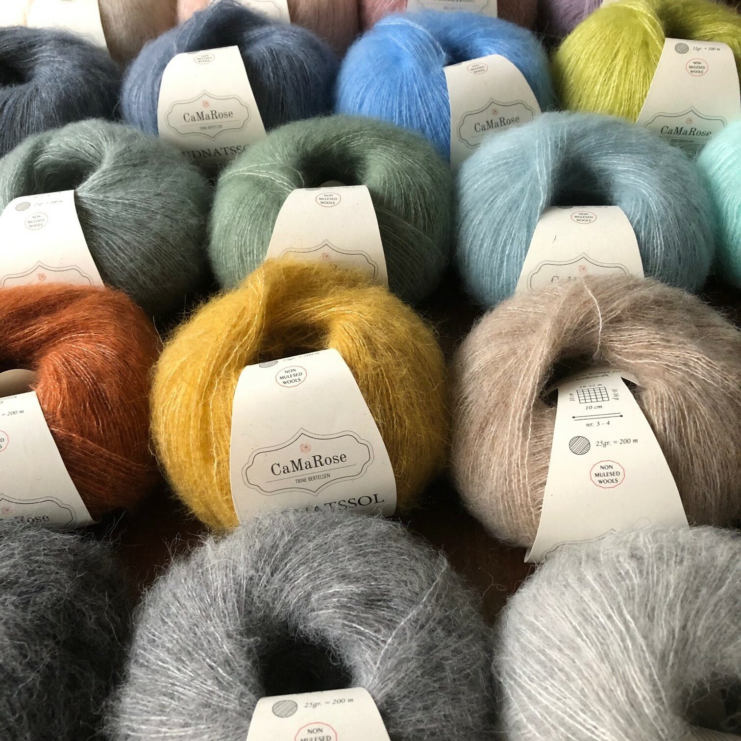 Midnatssol — CaMaRose