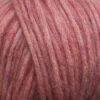 Celosia (7210)