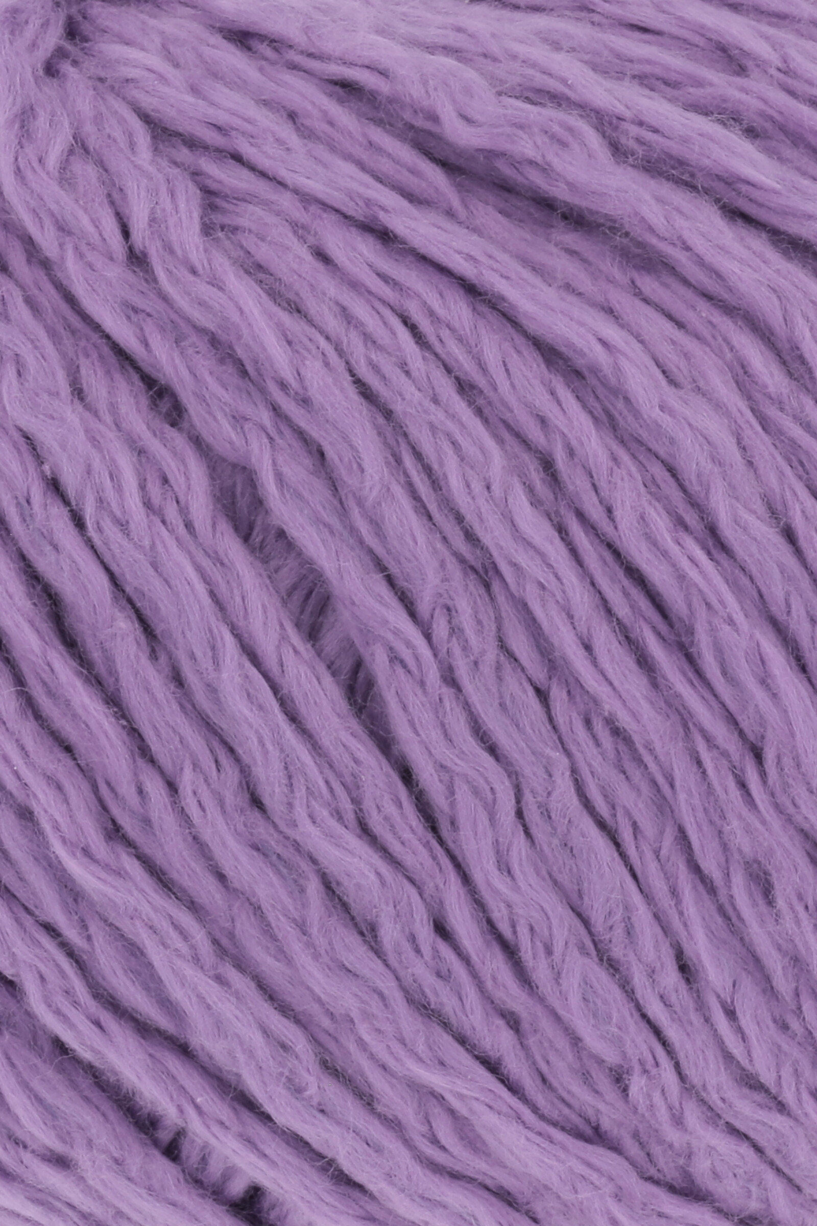 Amira - Billede 11