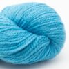 Turquoise (20)