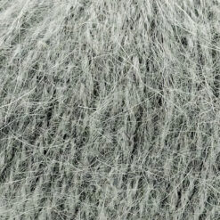 Angora 658 closeup