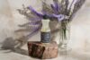 Lavendel